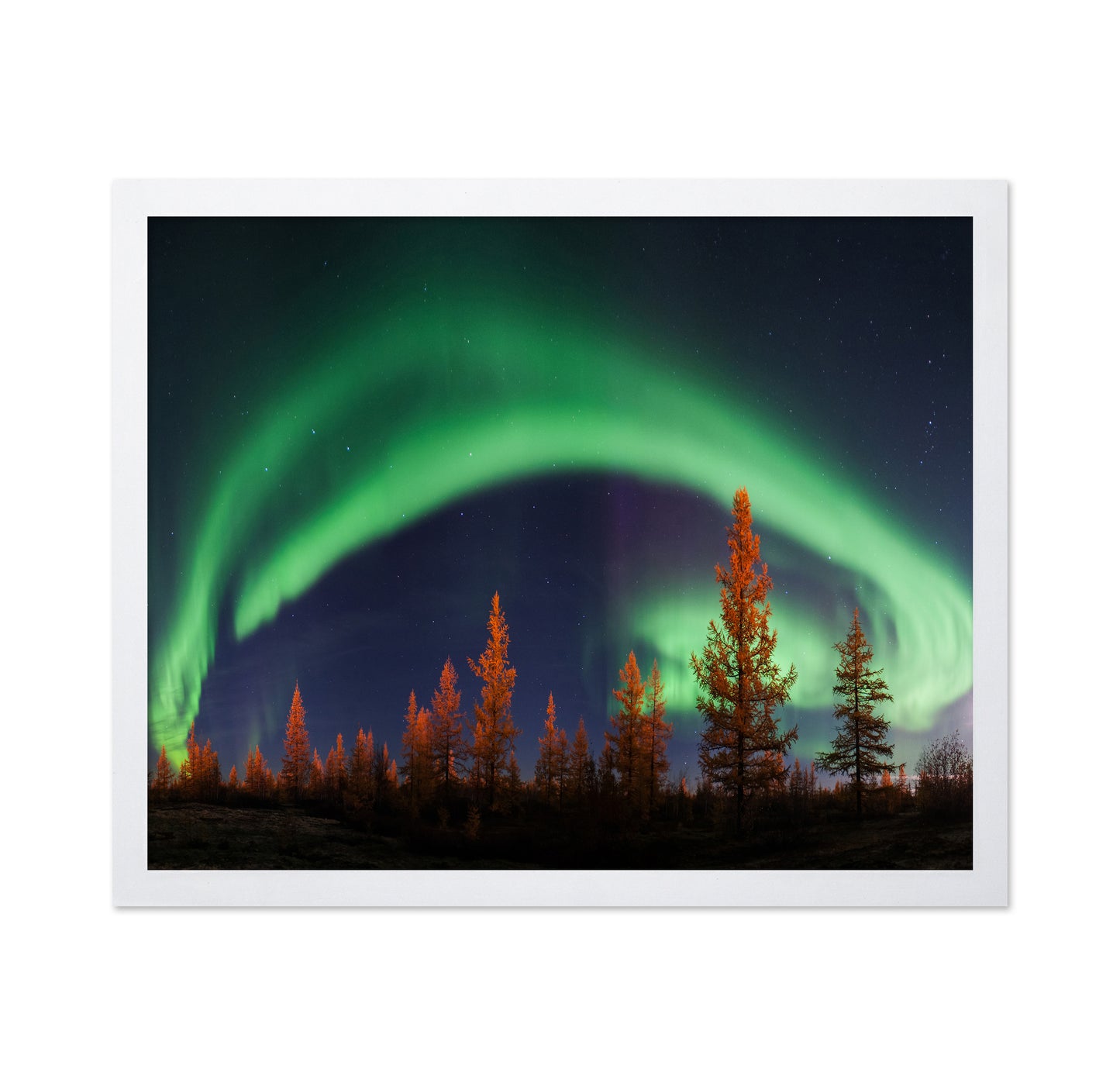 Northern Lights
