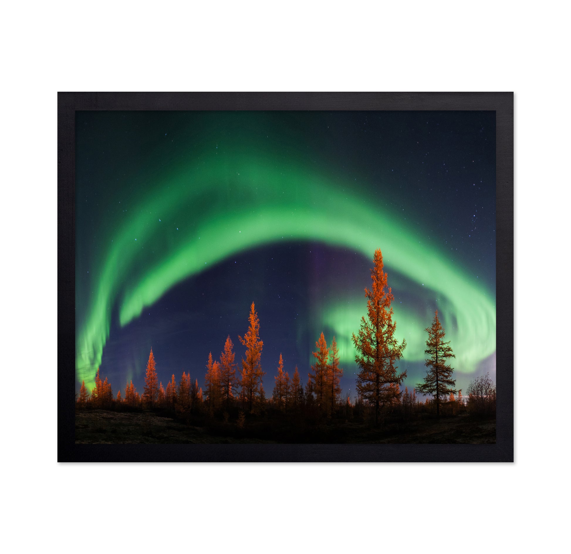 Northern Lights