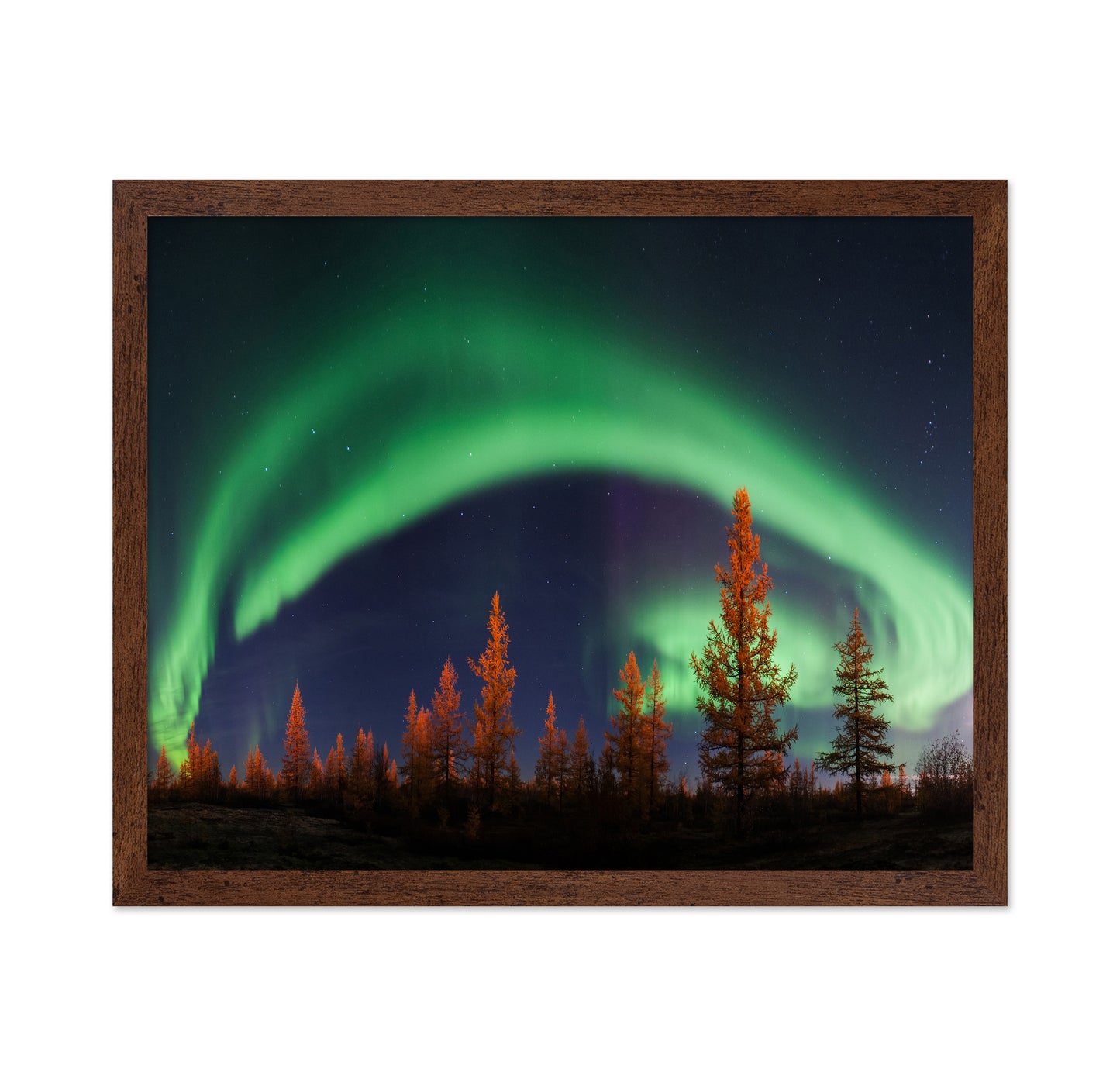 Northern Lights
