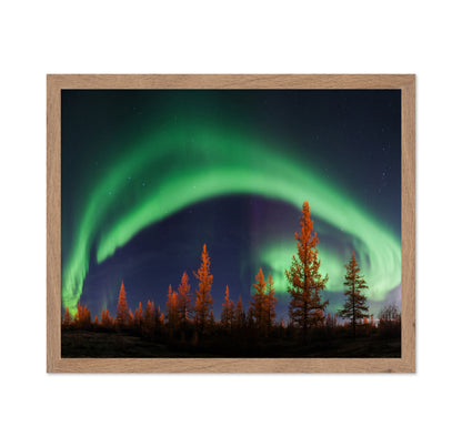 Northern Lights