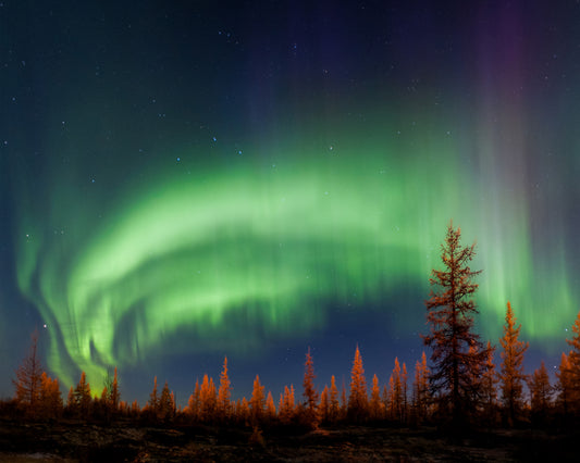 Northern Lights No 2