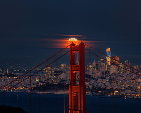 Pink Moon