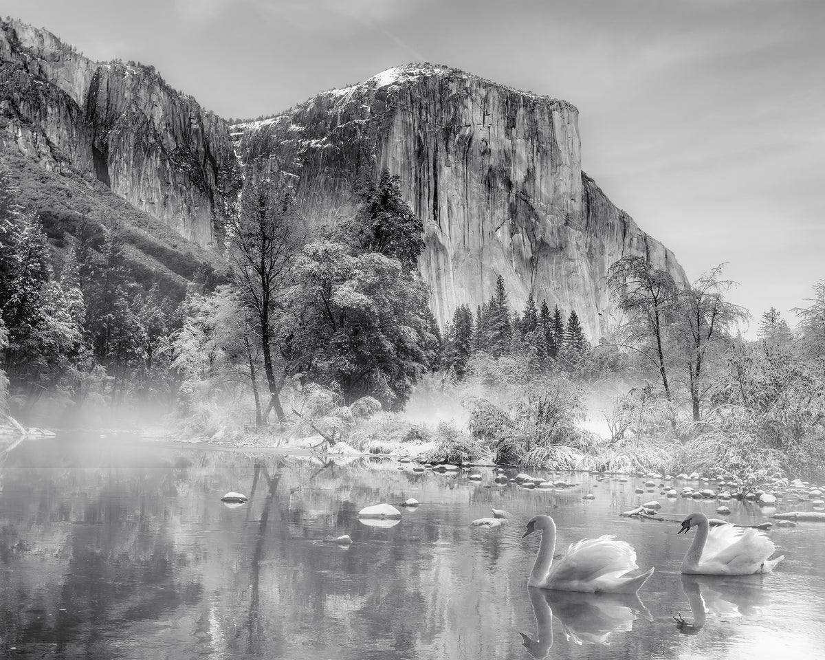 Winter Landscape