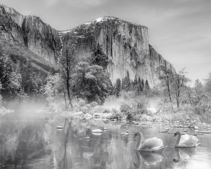 Winter Landscape