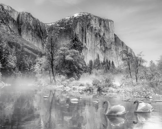 Winter Landscape