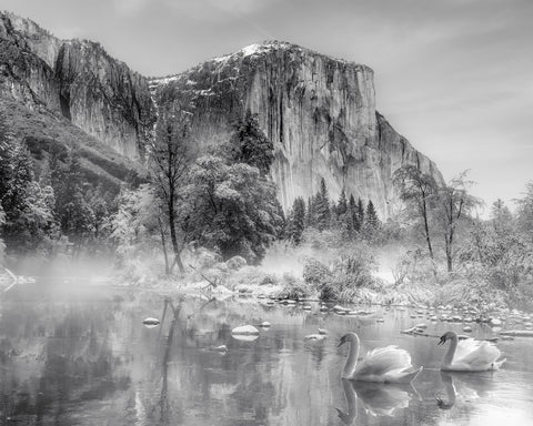 Winter Landscape