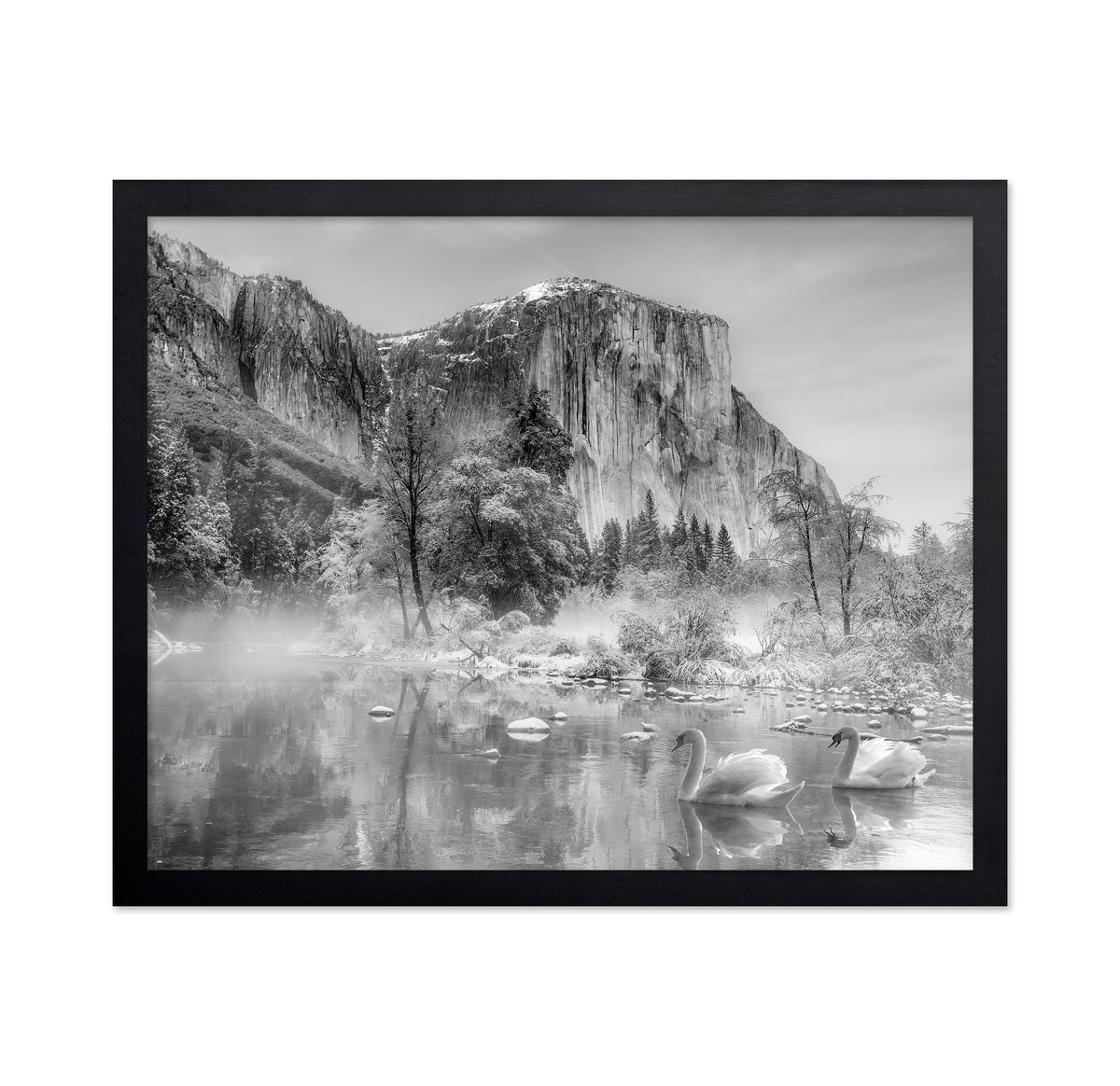 Winter Landscape