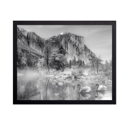 Winter Landscape