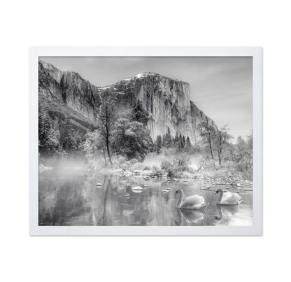 Winter Landscape