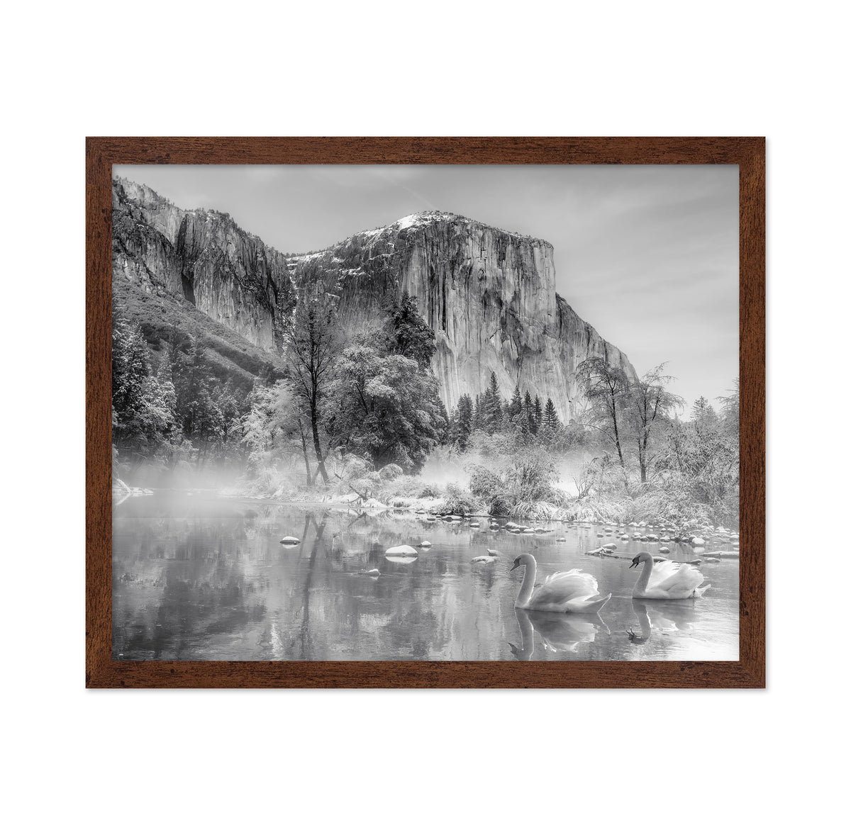 Winter Landscape