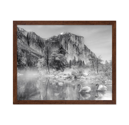Winter Landscape