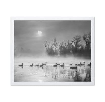 Sun Rises Over Swan Lake