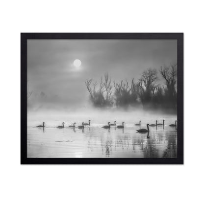 Sun Rises Over Swan Lake