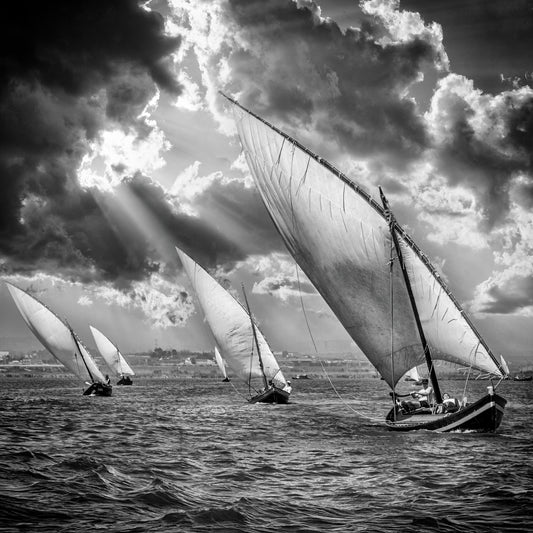 Sailboats and Light No 2