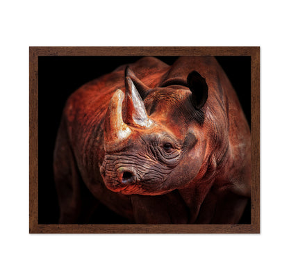 Rhino Posing