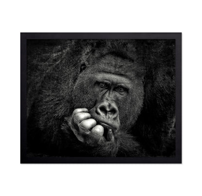 Portrait of a Gorilla