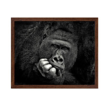 Portrait of a Gorilla