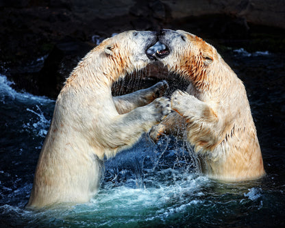 Battle & Kisses