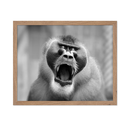 The Yawn