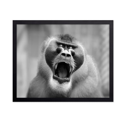 The Yawn