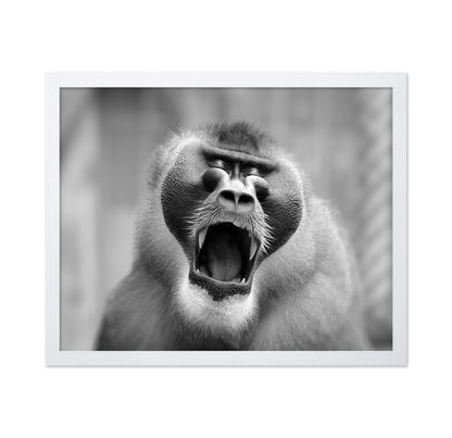 The Yawn