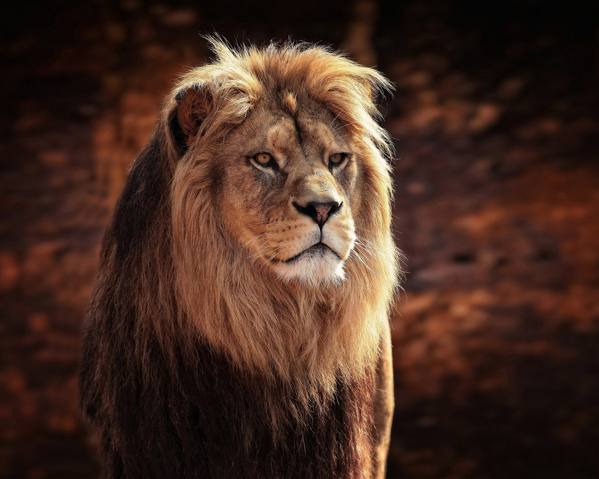 His Majesty The King