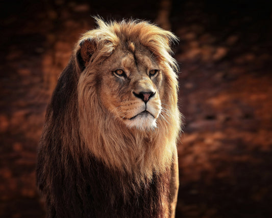 His Majesty The King