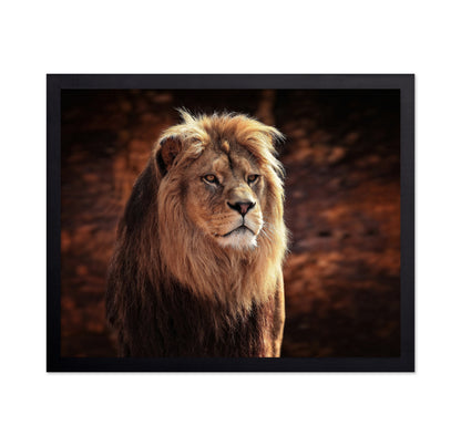 His Majesty The King