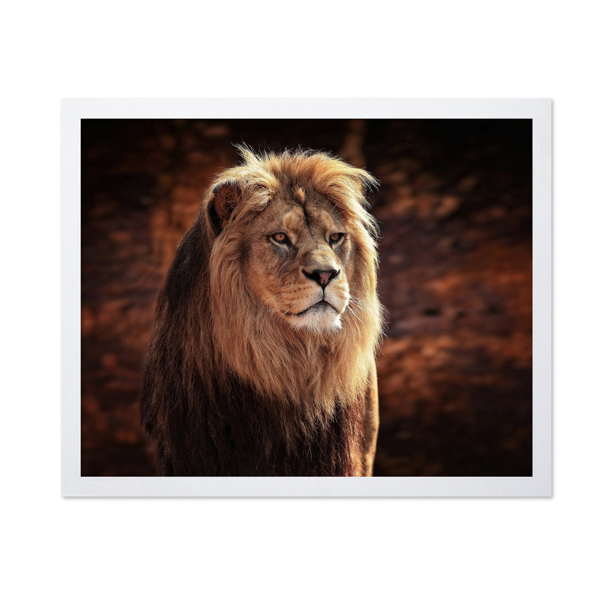His Majesty The King