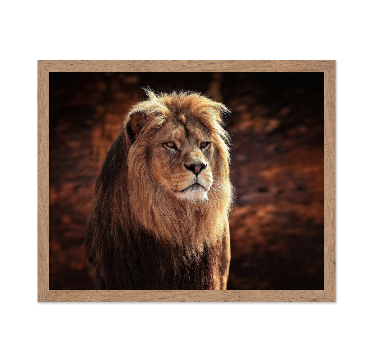 His Majesty The King