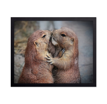 Prairie Dogs Kiss