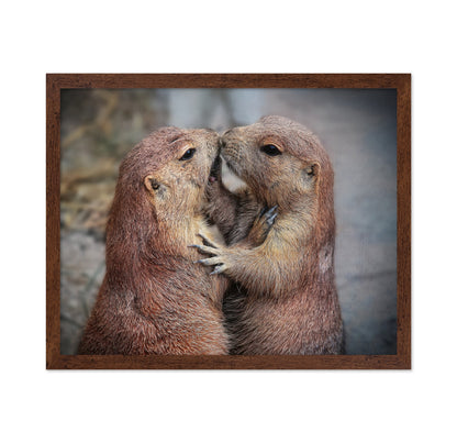 Prairie Dogs Kiss