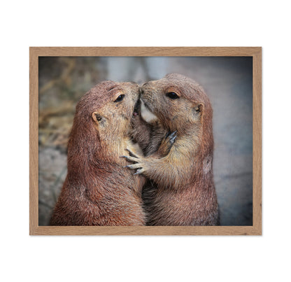 Prairie Dogs Kiss