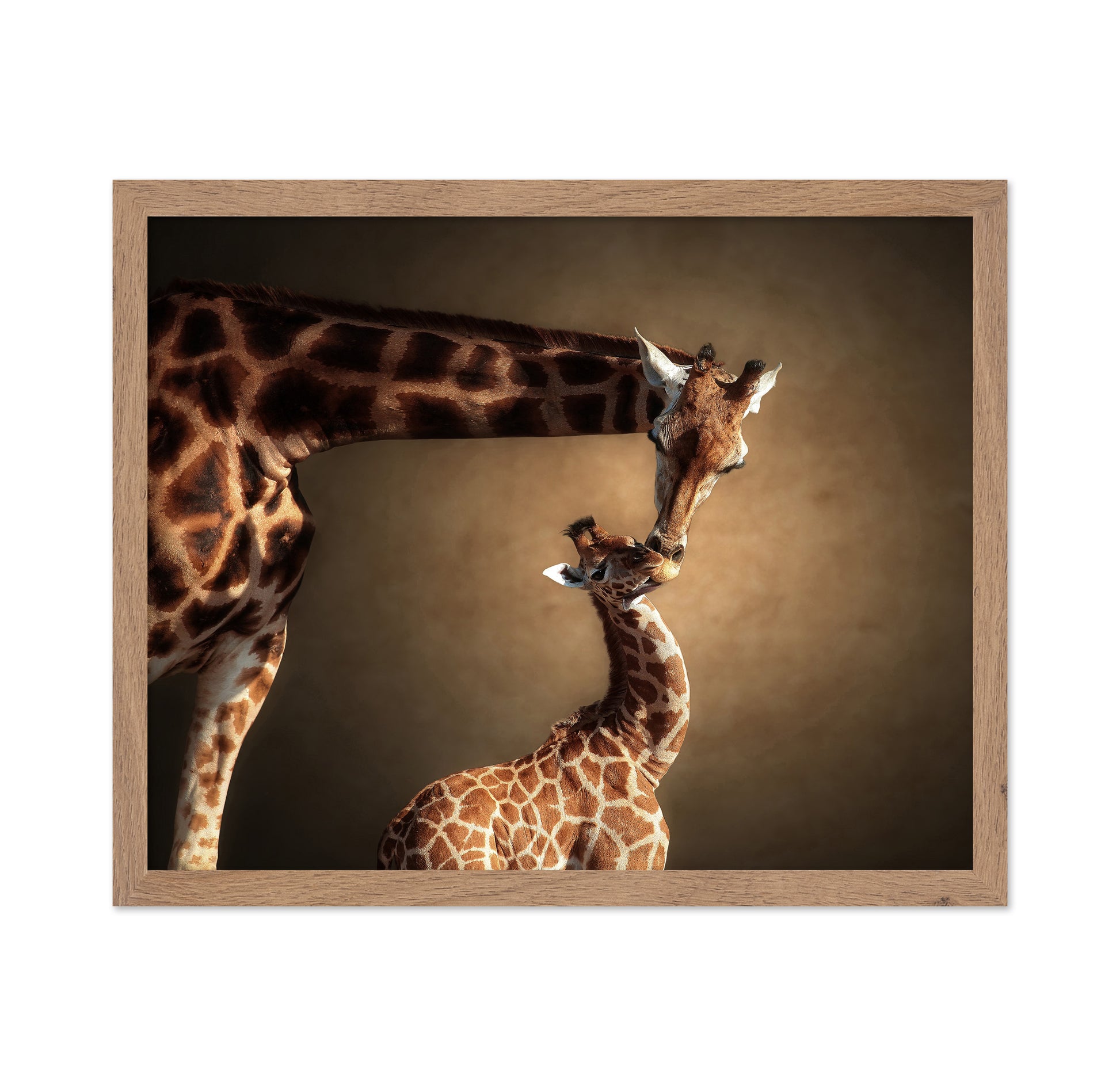Mother Giraffe and Her Calf