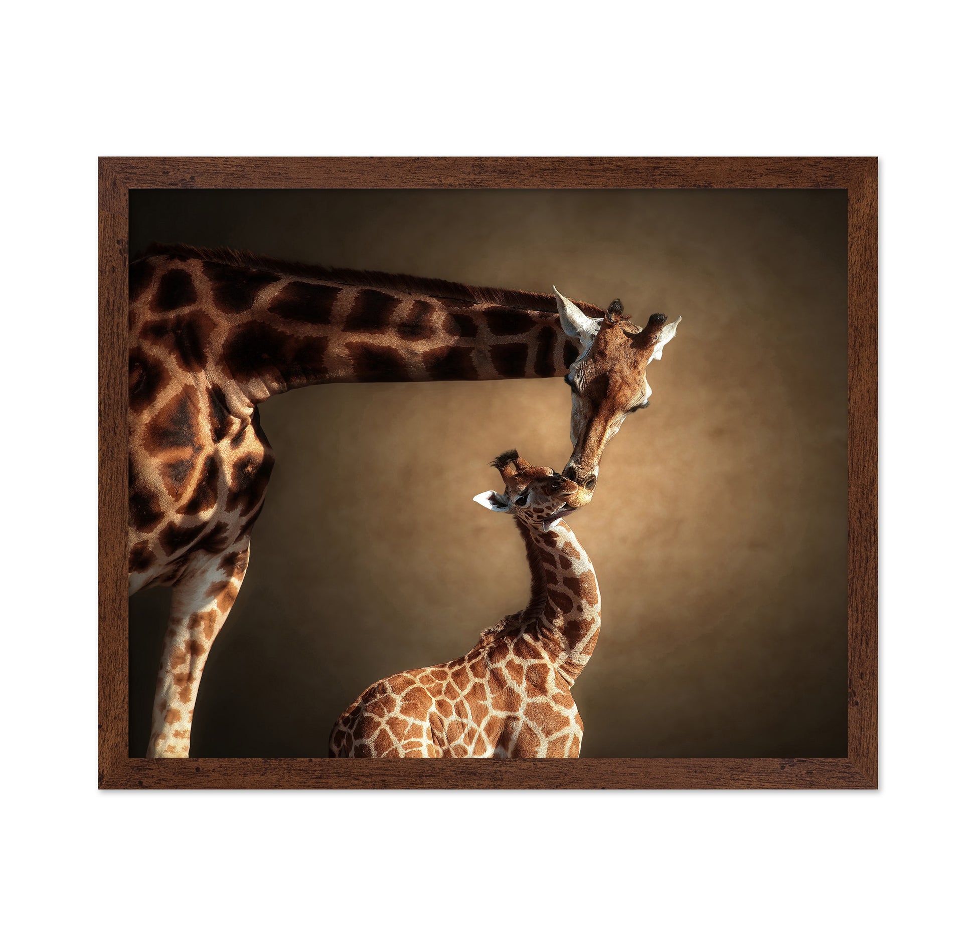 Mother Giraffe and Her Calf