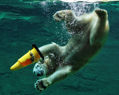 Diving Polar Bear