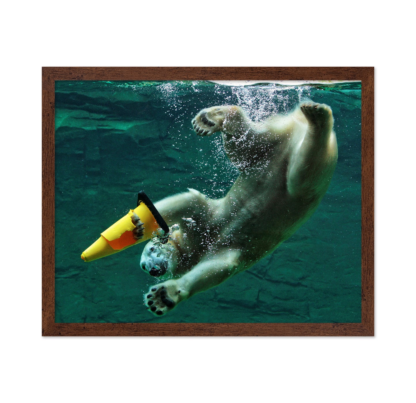 Diving Polar Bear