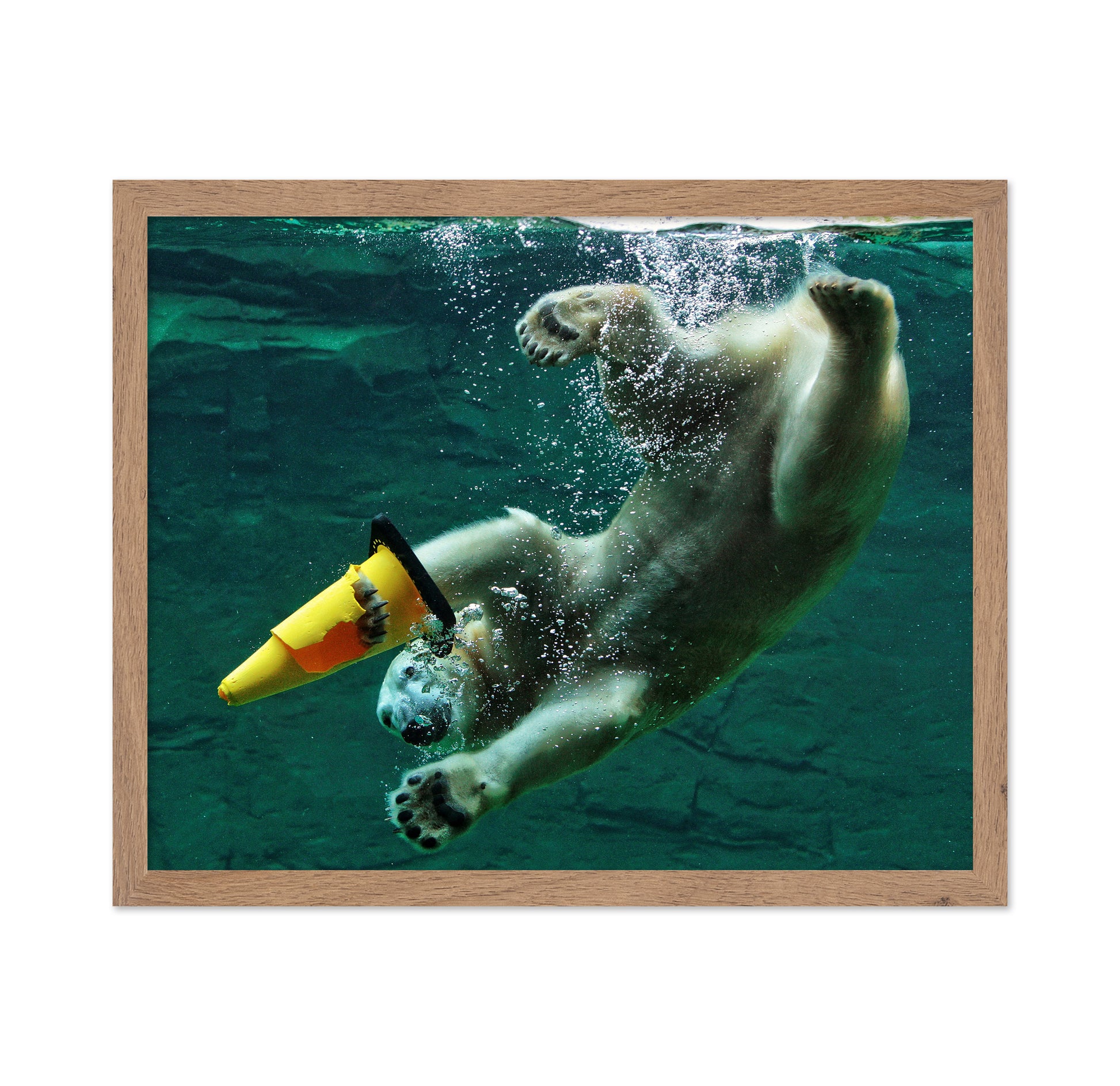 Diving Polar Bear