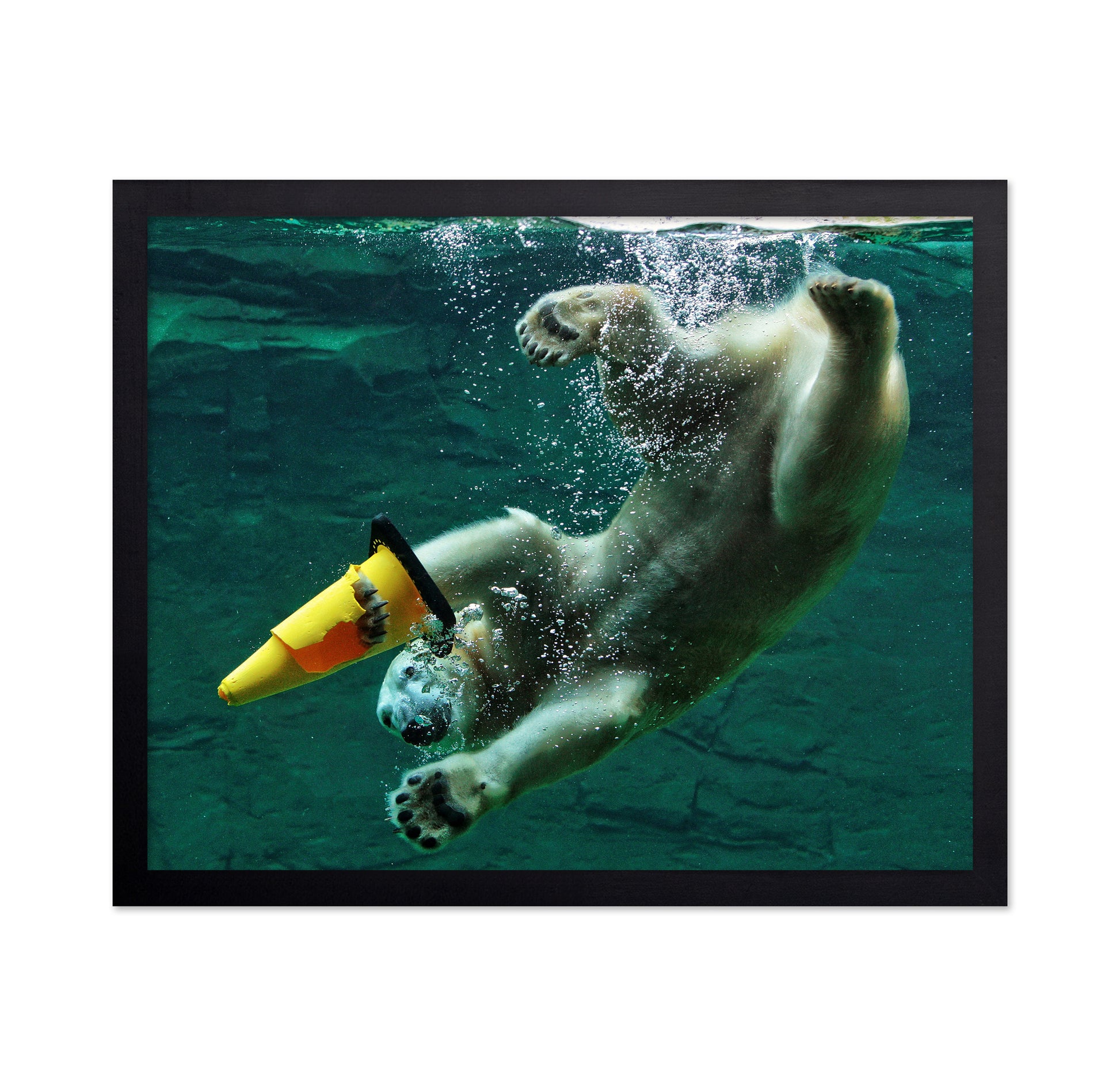 Diving Polar Bear