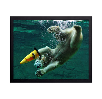 Diving Polar Bear