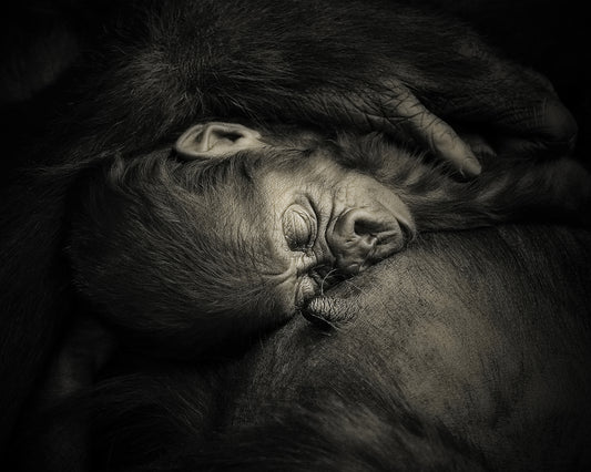 Mother's Hug