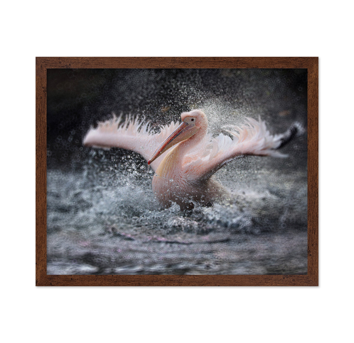Splashing in the Water