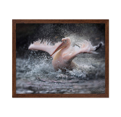 Splashing in the Water