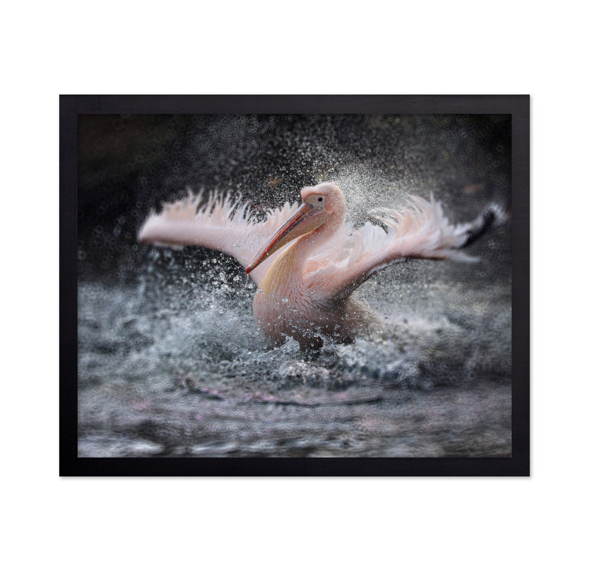 Splashing in the Water