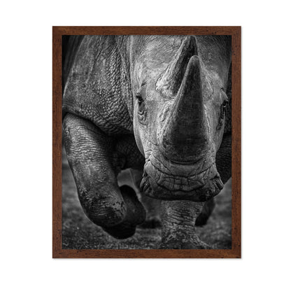 White Rhino
