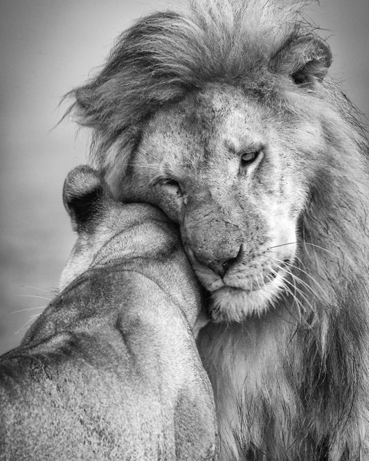 African Love