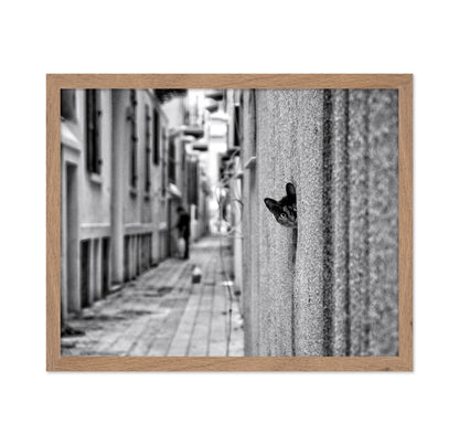 Peaking Urban Cat