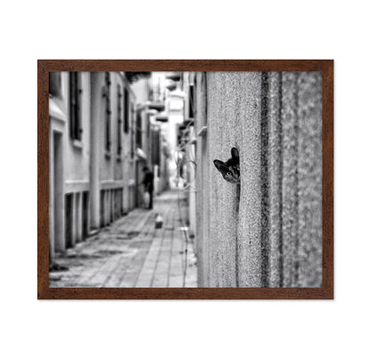 Peaking Urban Cat