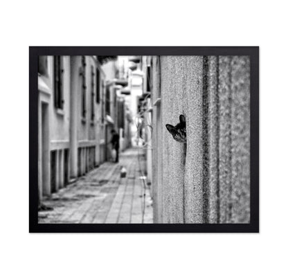 Peaking Urban Cat