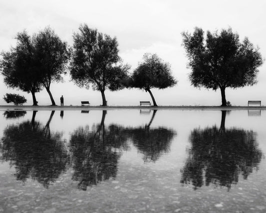 A Reflection from Karyaka